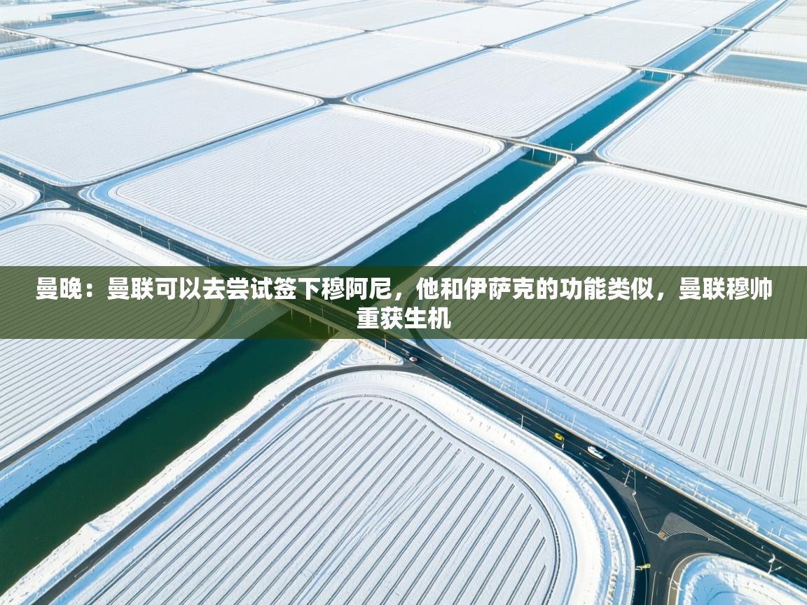 曼晚：曼联可以去尝试签下穆阿尼，他和伊萨克的功能类似，曼联穆帅重获生机  第1张