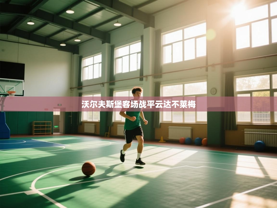 沃尔夫斯堡客场战平云达不莱梅  第2张