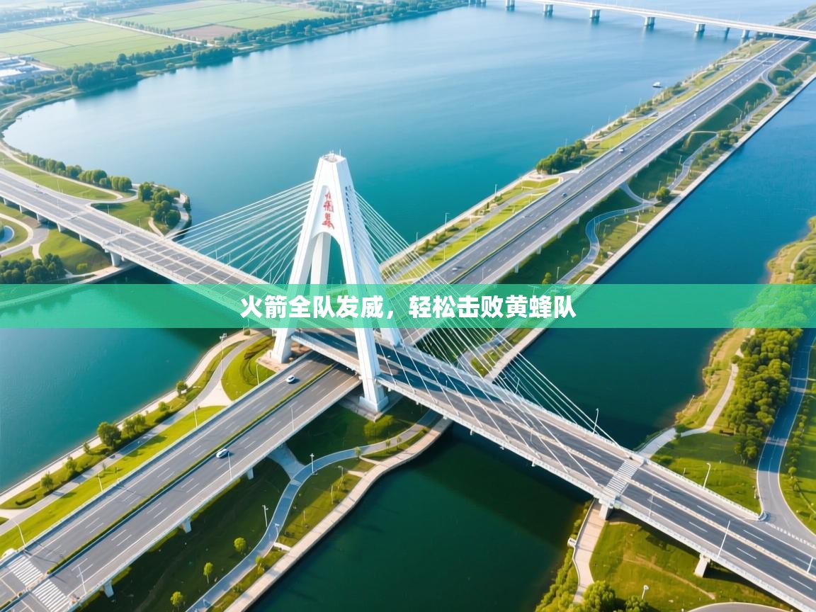 火箭全队发威，轻松击败黄蜂队  第2张