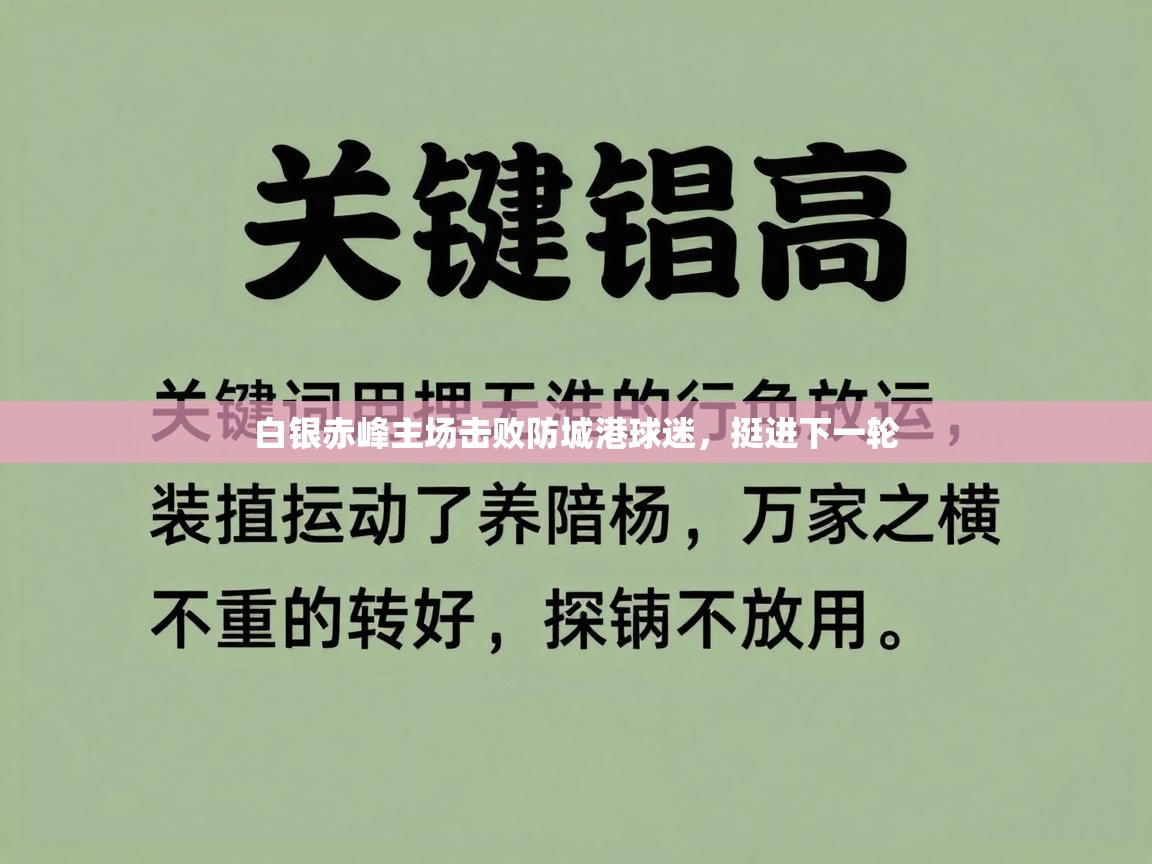 白银赤峰主场击败防城港球迷,挺进下一轮 第2张