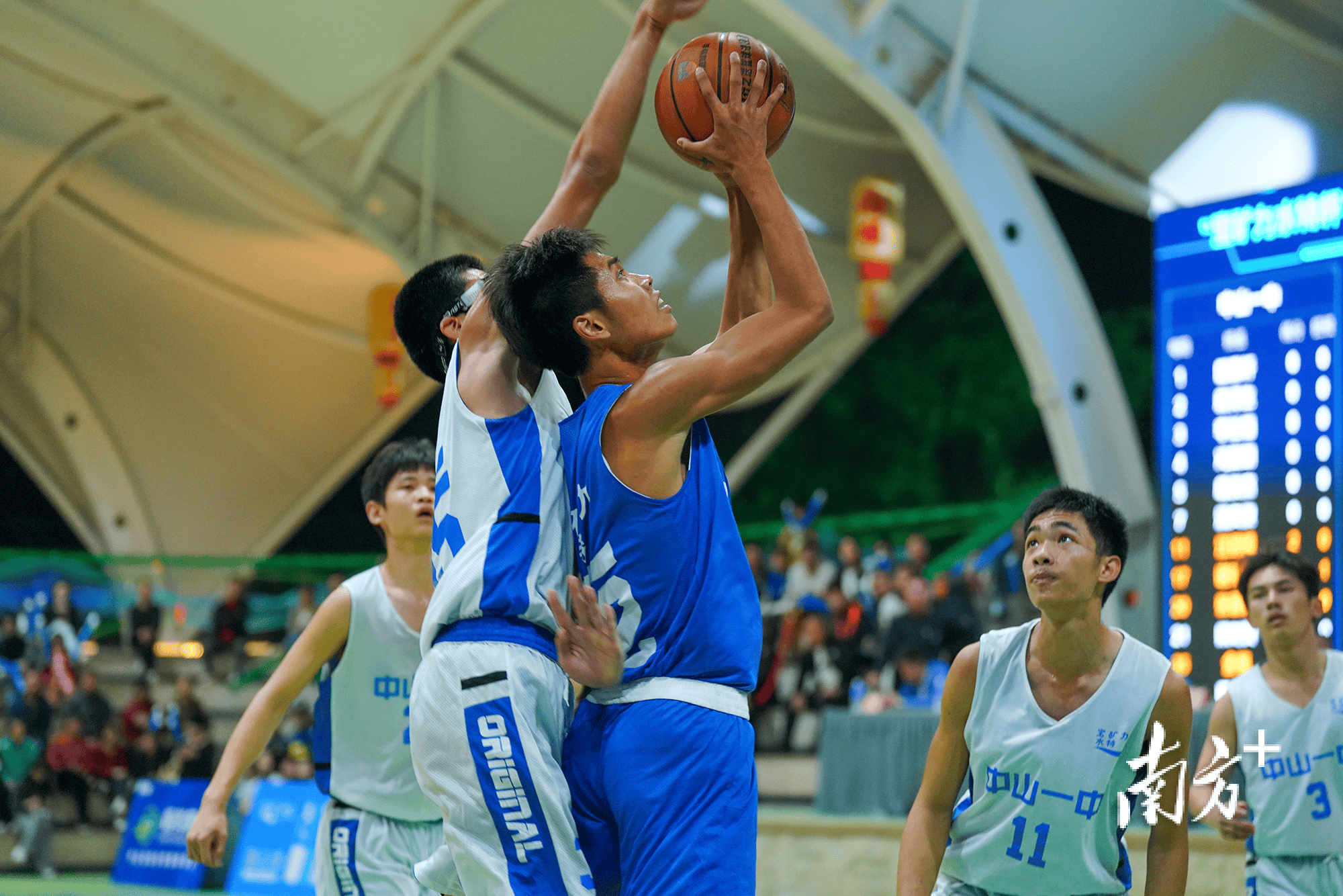 江南体育app官方入口-星级球员在职业篮球赛场上表现抢眼